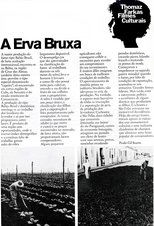 A Erva Bruxa