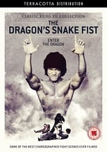 The Dragon's Snake Fist