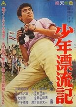 少年漂流記