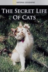 The Secret Life of Cats