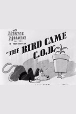 The Bird Came C.O.D.