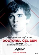 Doctorul cel bun