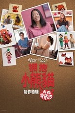 拥抱小熊猫:青春变形记背后的故事