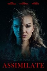 Image Assimilate (2019)