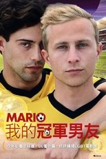 我的冠军男友