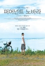 퍼머넌트 노바라