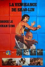Bruce and Shaolin Kung Fu