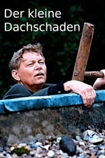 Der kleine Dachschaden