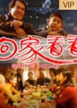 回家看看