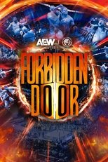 AEW x NJPW 禁忌之门 2024