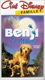 Image Benji la malice