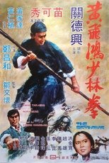 黄飞鸿少林拳