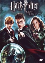 Image Harry Potter y la Orden del Fénix (2007)