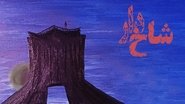 Ø´Ø§Ø®âØ¯Ø§Ø±