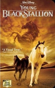 The Young Black Stallion Ver Descargar Películas en Streaming Gratis en Español