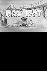 poster do Dry Rot