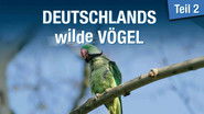 Deutschlands Wilde V&ouml;gel 2