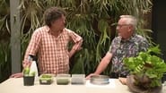 Episode 12 Chickens, Ferns, Bougainvillea & Vegan