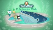 Octonauts and the Loneliest Whale