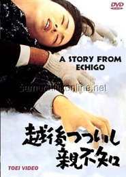 A Story from the Echigo affisch