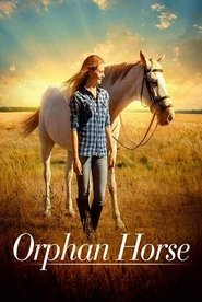 Orphan Horse Orphan Horse