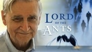 Lord of the Ants