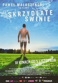 immagini di Skrzydlate świnie