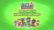 Ultimate Rescue: Pups and the Hidden Golden Bones