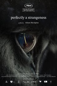 Perfectly A Strangeness (2024) Perfectly A Strangeness (2024)