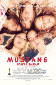 Imagen Mustang: Belleza Salvaje
