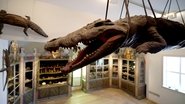 The Cultural History of Museums
