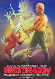 Se film Ninja Dragon med norsk tekst