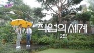 Episode 66