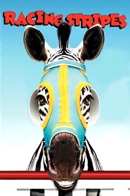 Racing Stripes poster