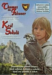 Póster Tomas and the Falcon King