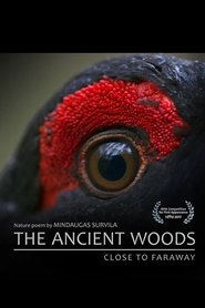 Watch The Ancient Woods (2017)