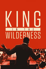مشاهدة فيلم King in the Wilderness 2018 مترجم