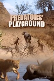 Predator's Playground (2012) Predator's Playground (2012)