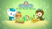 Octonauts and the Mantis Shrimp