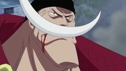 Moving into the Final Phase! Whitebeard's Trump Card for Recovery!