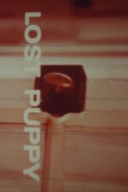 Lost Puppy (1969) Lost Puppy (1969)