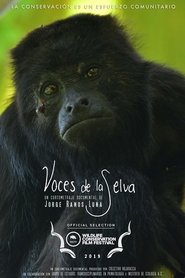 Rainforest Voices (2019) Rainforest Voices (2019)