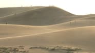 The Tottori Sand Dunes, Unity with Nature