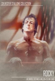 Rocky Rocky