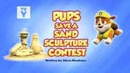 Pups Save a Sand Sculpture Contest