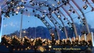 Vienna Philharmonic Summer Night Concert 2017