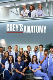 Grey's Anatomy - Season 20 Season 22