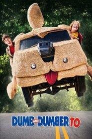 Dumb and Dumber To Array
