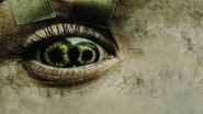 Never Blink