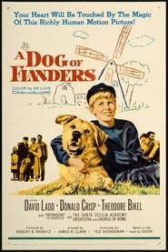 image de A Dog of Flanders affiche